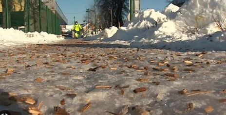 Utiliser le bois pour limiter le déneigement et l'utilisation de sel